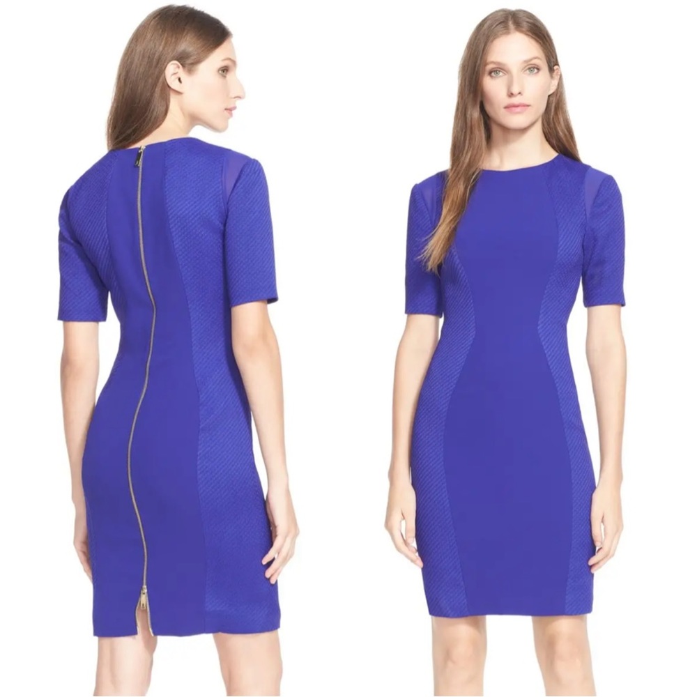 NWT✨ Ted Baker London Bodycon Crew Neck Zip Detail Dress Size US 4